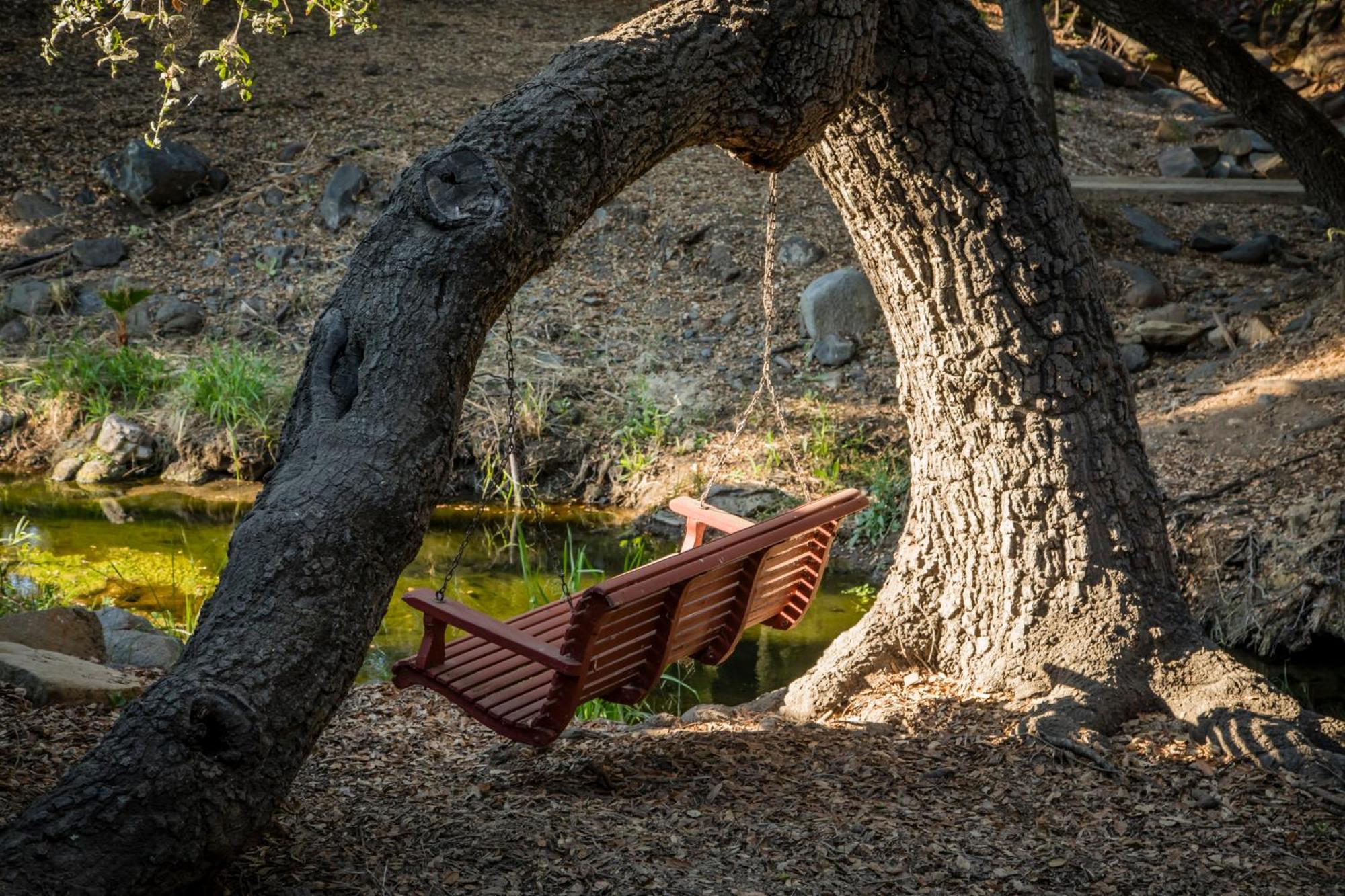 Historic Farmhouse On 5 Peaceful Acres With Ancient Oaks & Creek Above Temecula Exterior photo