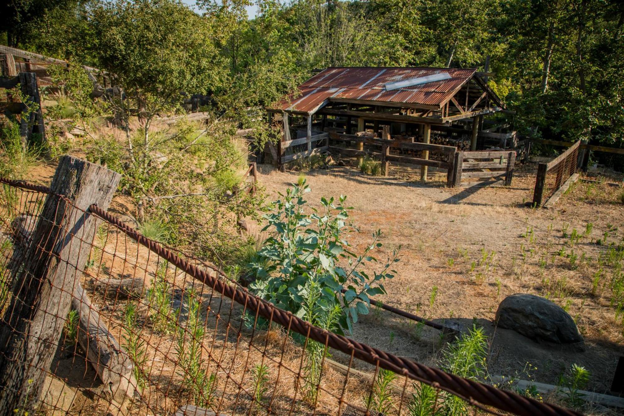 Historic Farmhouse On 5 Peaceful Acres With Ancient Oaks & Creek Above Temecula Exterior photo