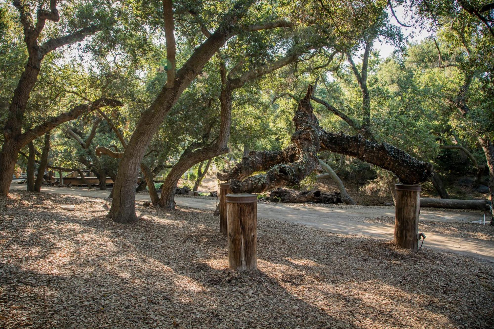 Historic Farmhouse On 5 Peaceful Acres With Ancient Oaks & Creek Above Temecula Exterior photo