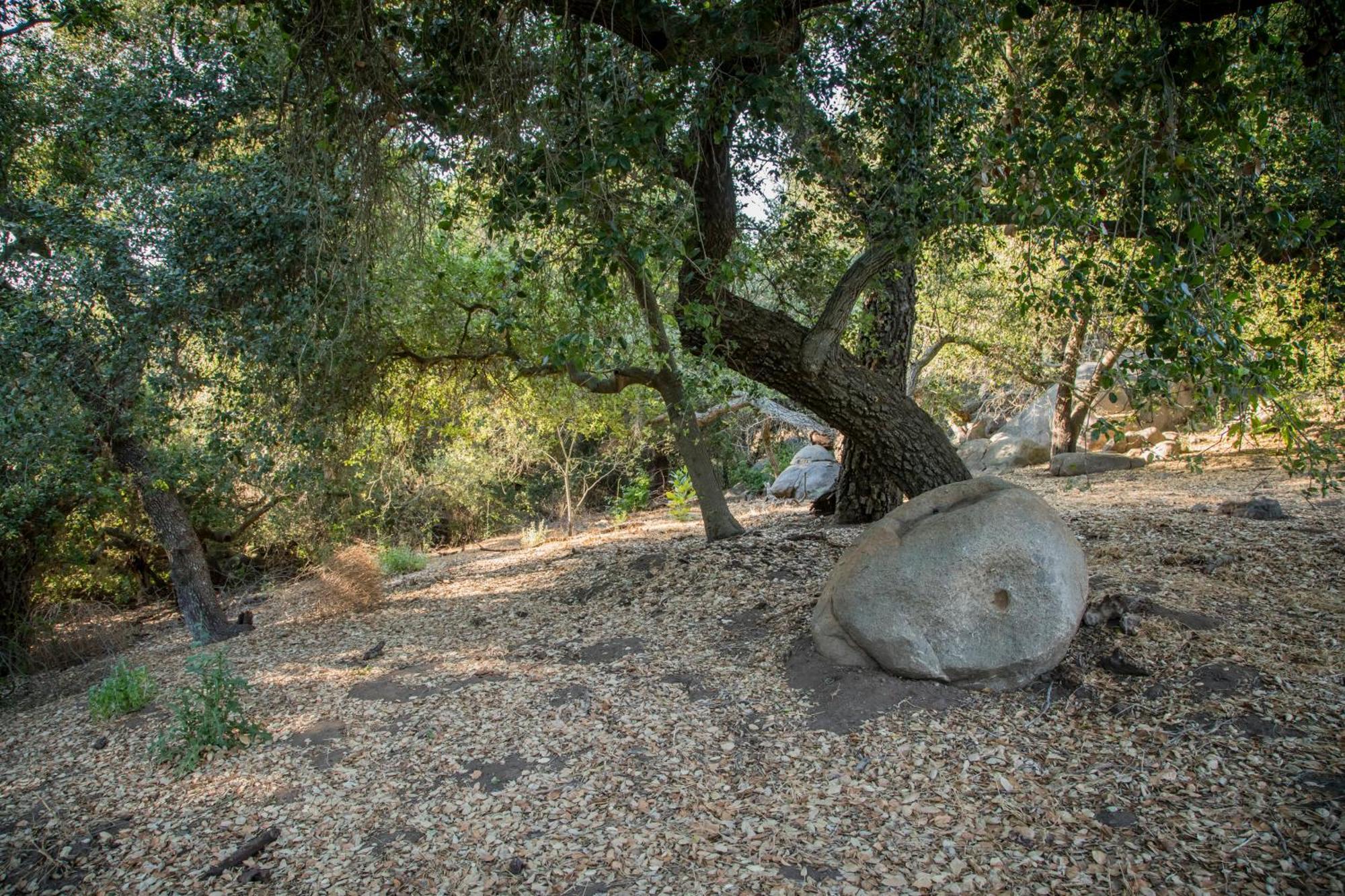 Historic Farmhouse On 5 Peaceful Acres With Ancient Oaks & Creek Above Temecula Exterior photo